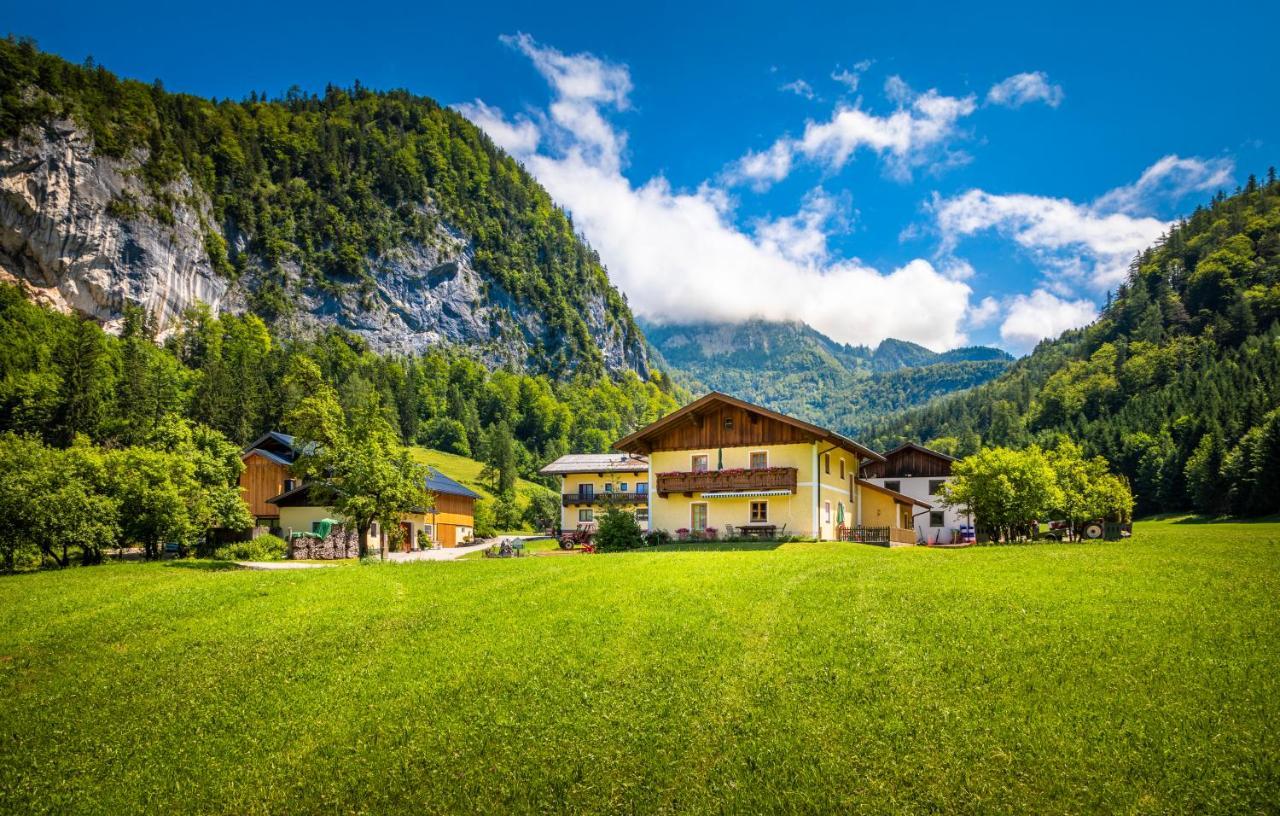 Hinterkellaubauer Bed & Breakfast Kuchl Luaran gambar