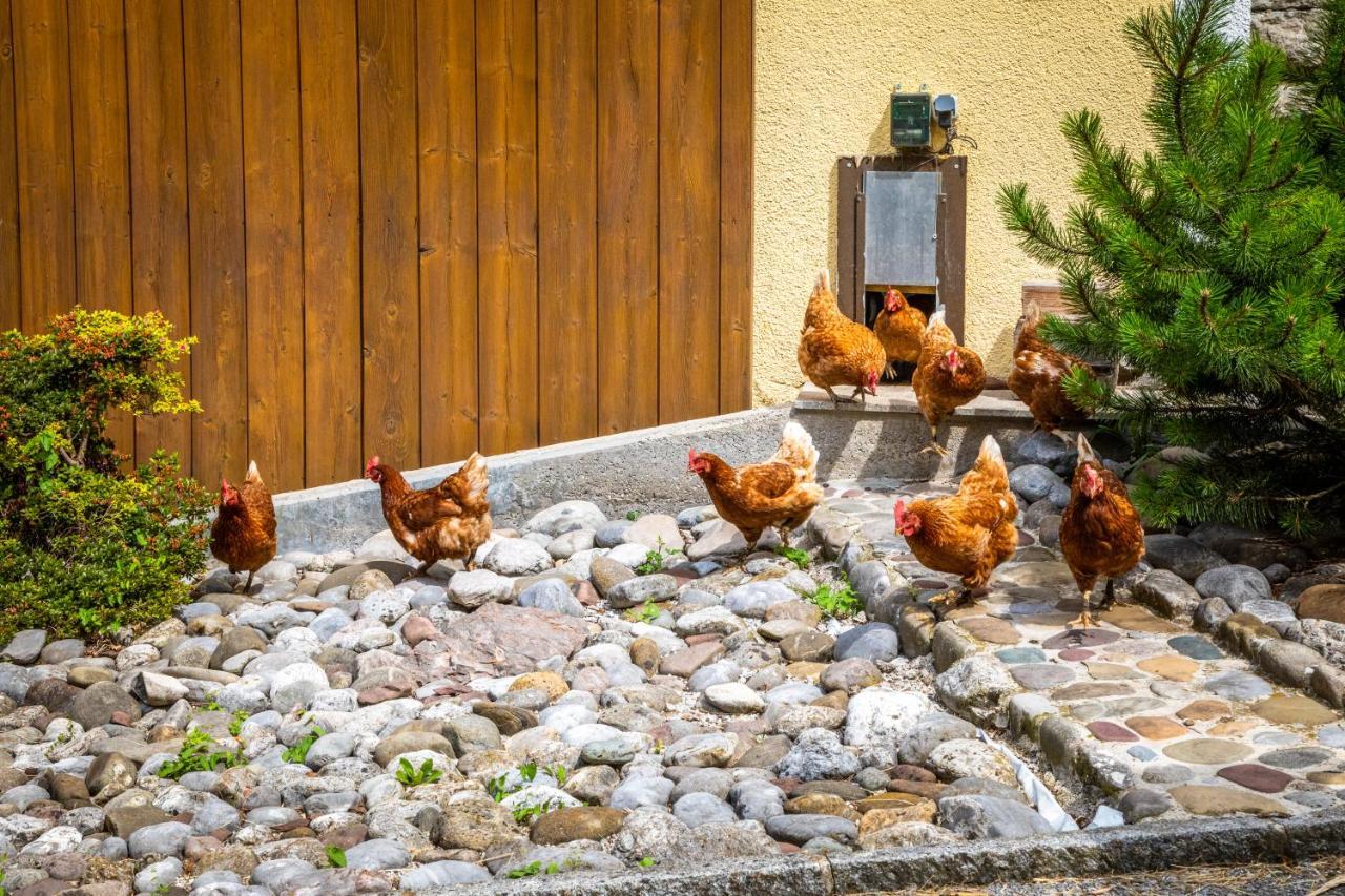Hinterkellaubauer Bed & Breakfast Kuchl Luaran gambar