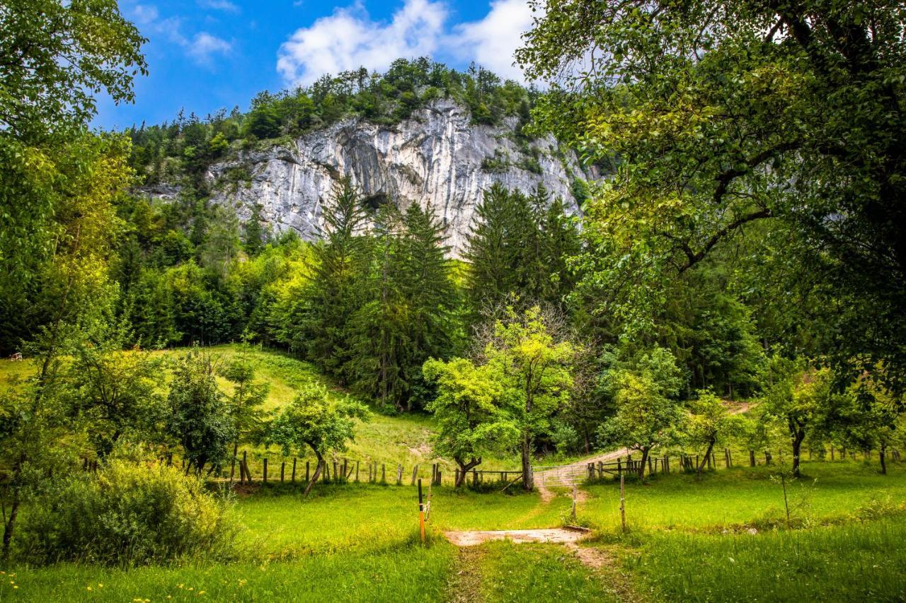 Hinterkellaubauer Bed & Breakfast Kuchl Luaran gambar
